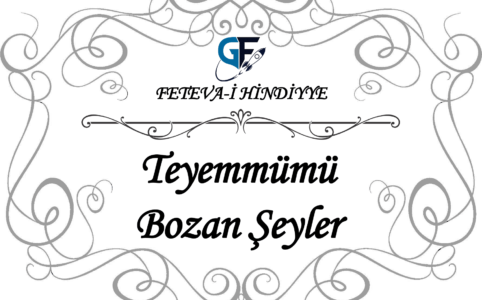 Teyemmümü - Bozan-Şeyler