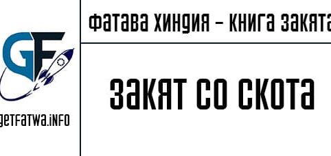 закят со скота